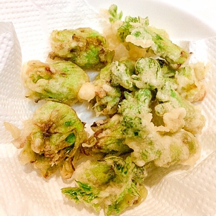 春物先取り ふきのとうとタラの芽の天ぷら レシピ 作り方 By だだちゃまめごはん 楽天レシピ 春物先取り ふきのとうとタラの芽の天ぷら レシピ 作り方 By だだちゃまめごはん 楽天レシピ